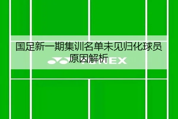 国足新一期集训名单未见归化球员原因解析