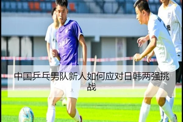 中国乒乓男队新人如何应对日韩两强挑战
